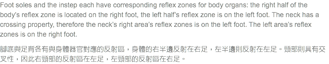 Foot soles and the instep each have corresponding reflex zones for body organs: the right half of the body's reflex zone is located on the right foot, the left half’s reflex zone is on the left foot. The neck has a crossing property, therefore the neck’s right area’s reflex zones is on the left foot. The left area’s reflex zones is on the right foot. 腳底與足背各有與身體器官對應的反射區，身體的右半邊反射在右足，左半邊則反射在左足。頸部則具有交叉性，因此右頸部的反射區在左足，左頸部的反射區在右足。